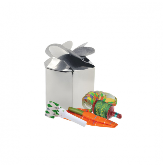 Sparkling Dust SILVER Gift Boxes